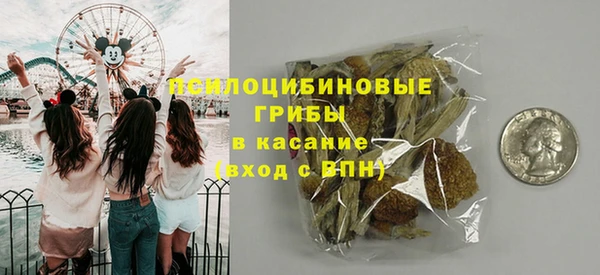spice Нягань