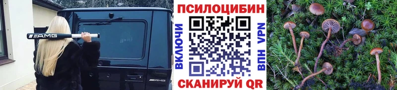 Псилоцибиновые грибы Psilocybe  Бирюч 